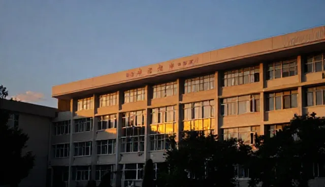 5个阶段反馈检查要点,确保处理方法有效执行
