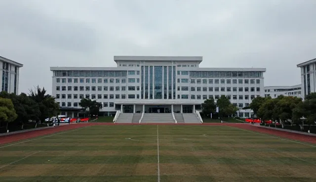 项目执行全周期服务中阶段反馈的影响因素分析